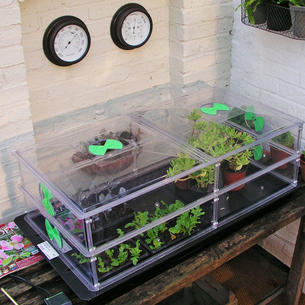 Vitopod Propagator