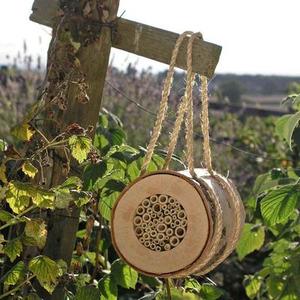 Pollinating Bee Log