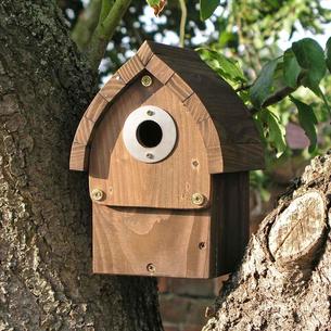 Cabin Multi Species Nestbox