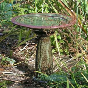 Verses Bird Bath & Stand