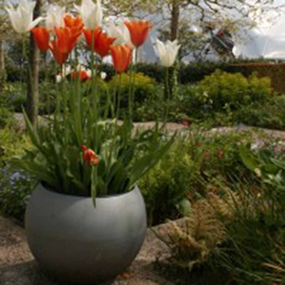 Buy Geo Sphere Planters — The Worm that Turned revitalising your