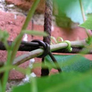 Flexi-Tie