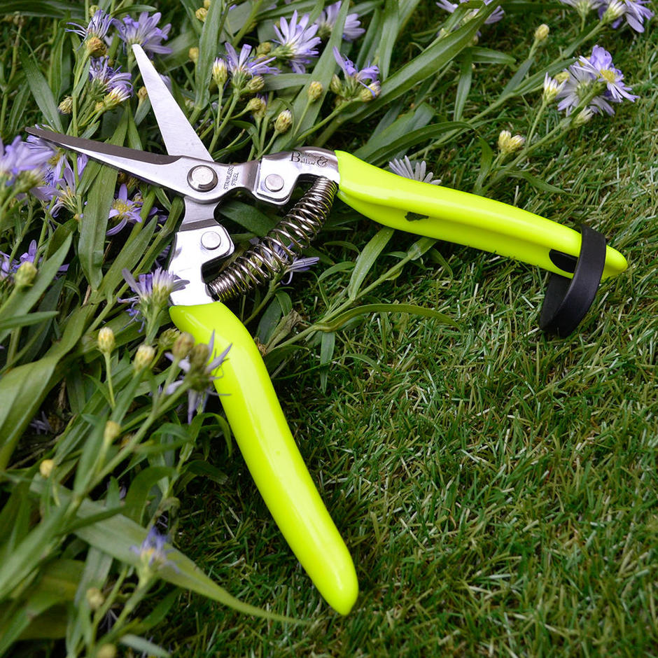 Buy FloraBrite Flower & Fruit Snips — The Worm that Turned