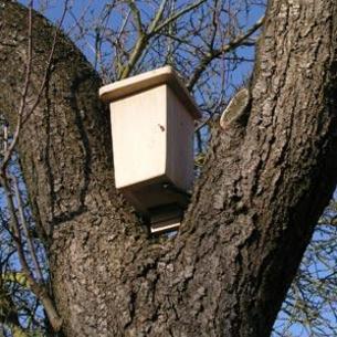 Bat Box - Double Chamber