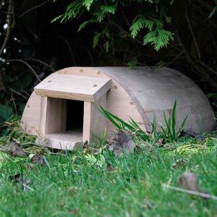 Hedgehog House