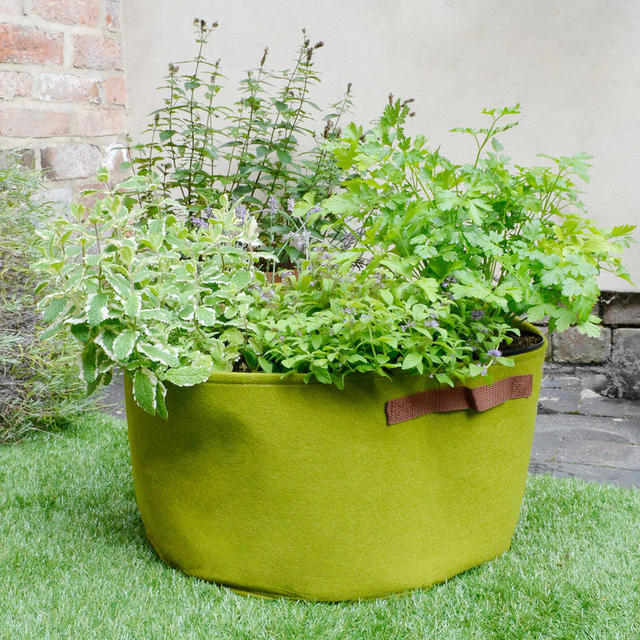 Buy Vigoroot Herb Planter — The Worm that Turned revitalising your
