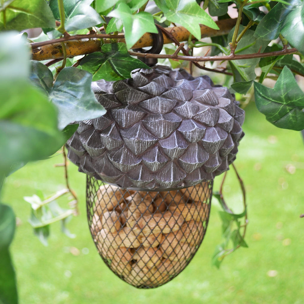 Buy Acorn Bird Feeder The Worm That Turned Revitalising Your