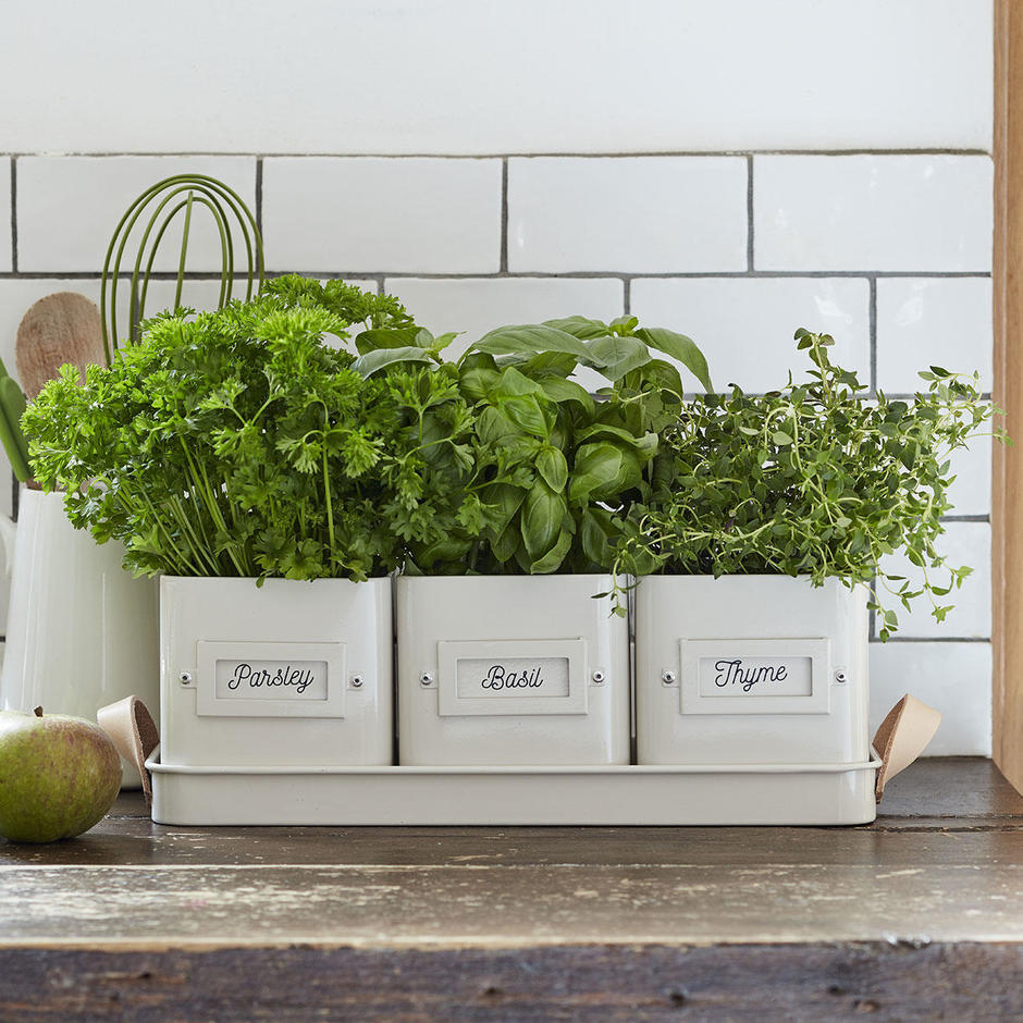 Buy Herb Pot Tray with Leather Handles — The Worm that Turned