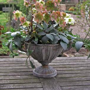 Aged Metal Planter
