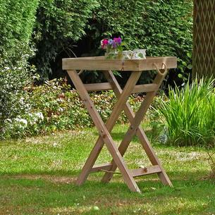 Butlers Tea Tray and Stand