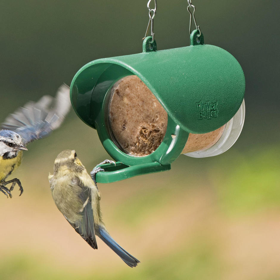 Buy Hanging Peanut Butter Feeder The Worm That Turned