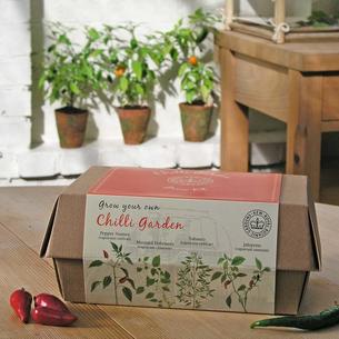 Kew 'Grow your Own' Chilli