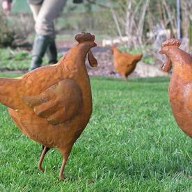 Rusty Chicken