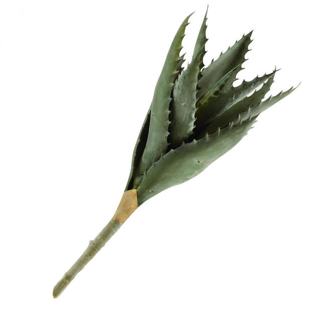 Buy Faux Aloe Plant — The Worm that Turned revitalising your outdoor