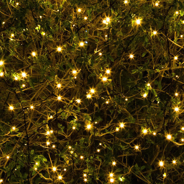 Buy 100 Solar Warm White LED string lights — The Worm that Turned