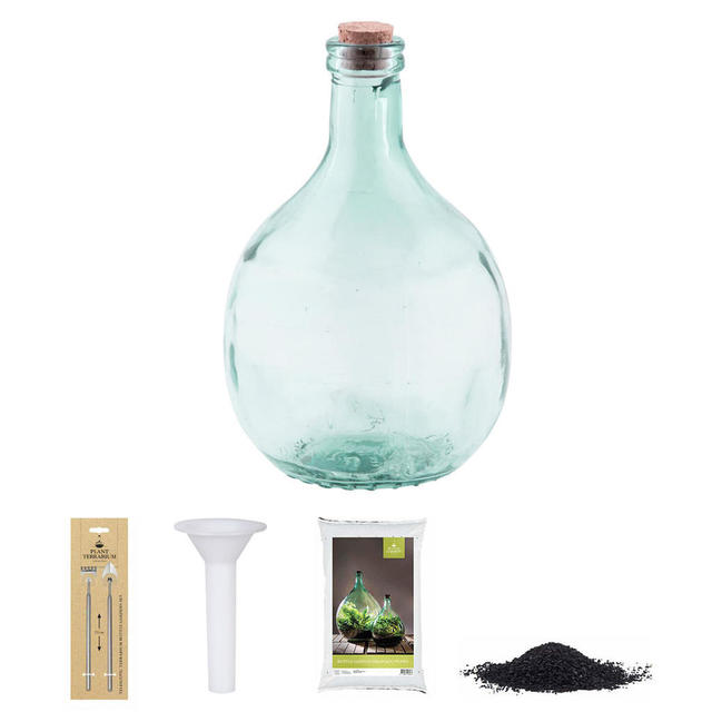 Buy Large Bottle Terrariums — The Worm that Turned revitalising your outdoor space