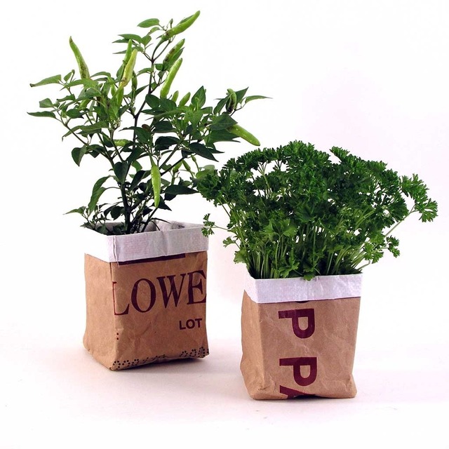 Paper Bag Herb Pots Set of 2 — The Worm that Turned REVITALISING